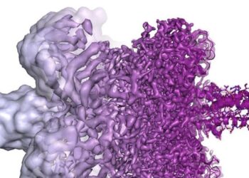 Τι είναι η κρυοηλεκτρονική μικροσκοπία και ποια πρωτιά παίρνει η Ελλάδα