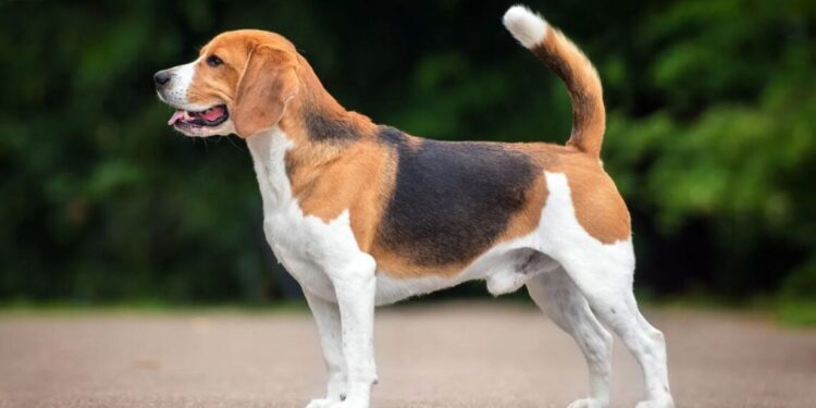 Τελικά δεν γίνεται να ικανοποιείς τους πάντες…