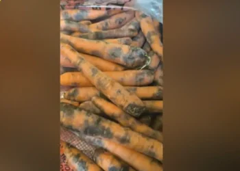 Εικόνες ντροπής! Σάπια τρόφιμα και απειλές σε γηροκομείο! (photo)