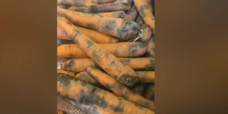 Εικόνες ντροπής! Σάπια τρόφιμα και απειλές σε γηροκομείο! (photo)