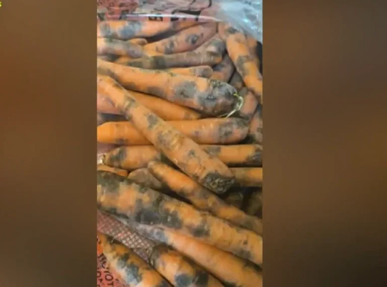 Εικόνες ντροπής! Σάπια τρόφιμα και απειλές σε γηροκομείο! (photo)