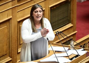 Κωνσταντοπούλου για σκάνδαλο ΟΠΕΚΕΠΕ: Πέσατε στο μέλι και τώρα είστε σε πανικό