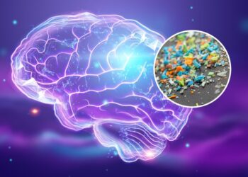 Μικροπλαστικά στα υπερεπεξεργασμένα τρόφιμα προκαλούν βλάβες στον εγκέφαλο;