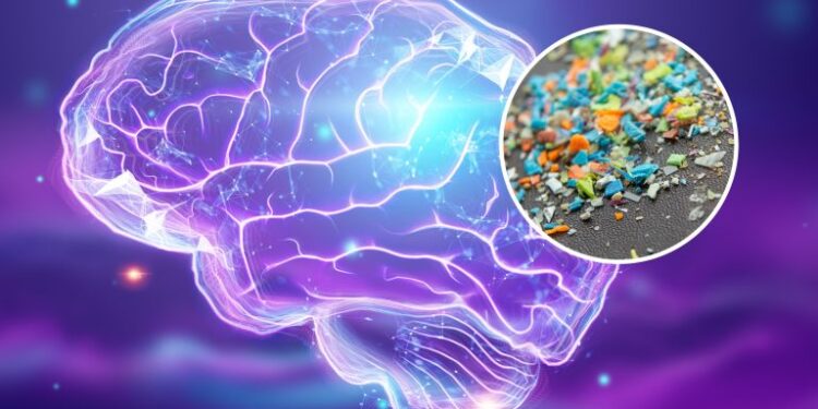 Μικροπλαστικά στα υπερεπεξεργασμένα τρόφιμα προκαλούν βλάβες στον εγκέφαλο;